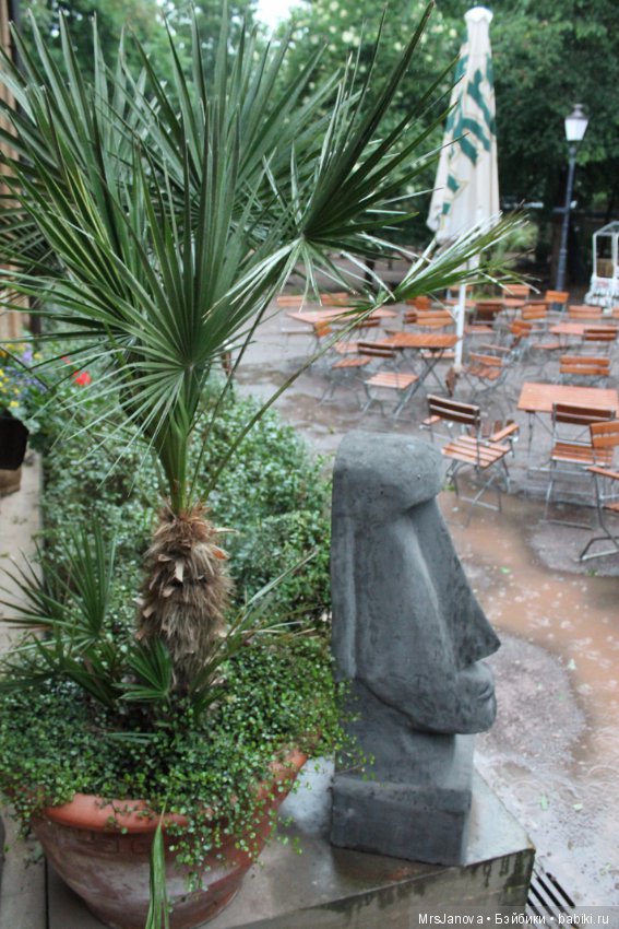 По Германии: зоопарк Лейпцига, часть 3 (фото 8)