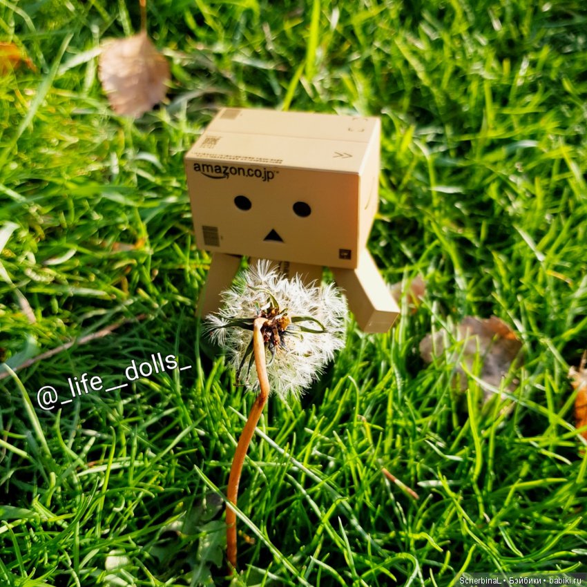 STARKовы LIFE. Алиса&Danbo