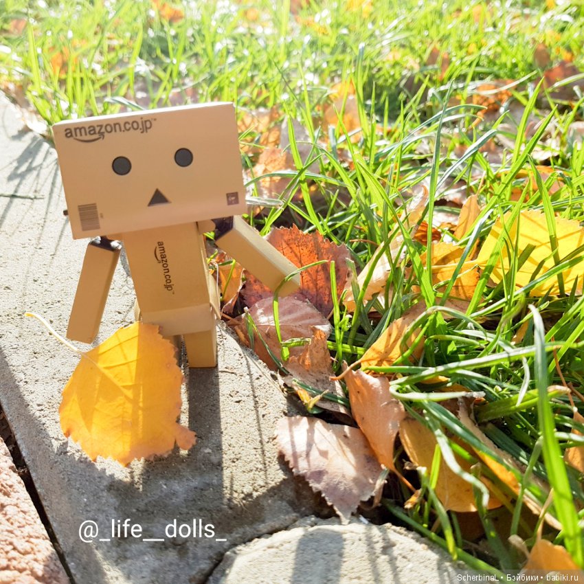 STARKовы LIFE. Алиса&Danbo (фото 4)