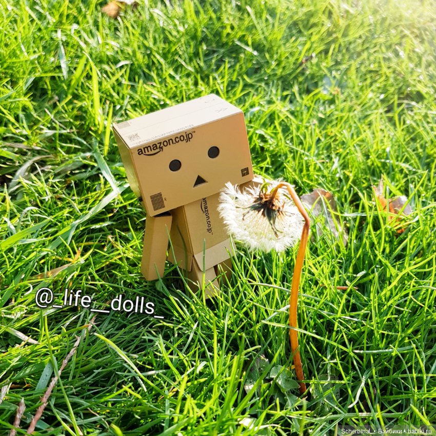 STARKовы LIFE. Алиса&Danbo