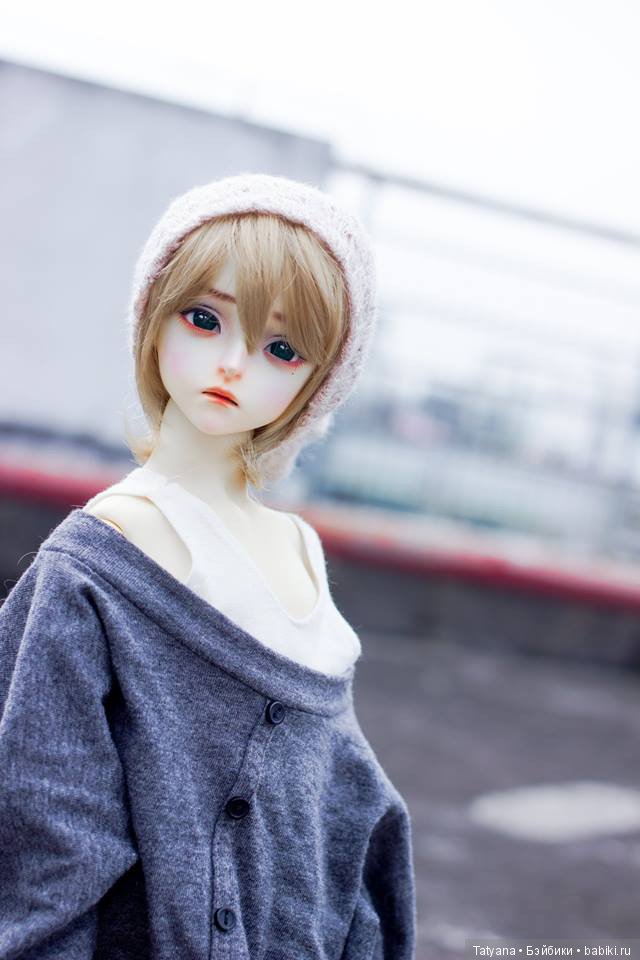 Sio 2 doll продают Йорка с 27 ноября по 27 декабря (фото 2)