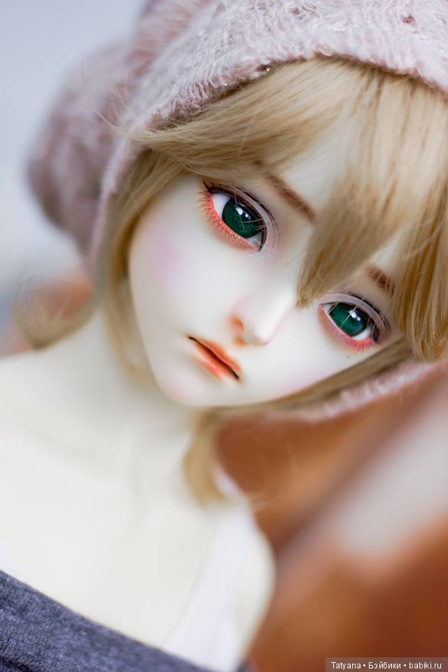 Sio 2 doll продают Йорка с 27 ноября по 27 декабря (фото 3)