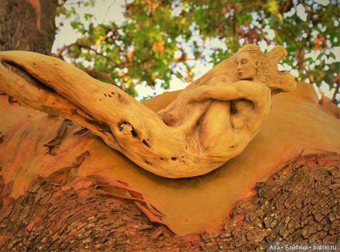 Debra Bernier. Души внутри деревьев (фото 2)