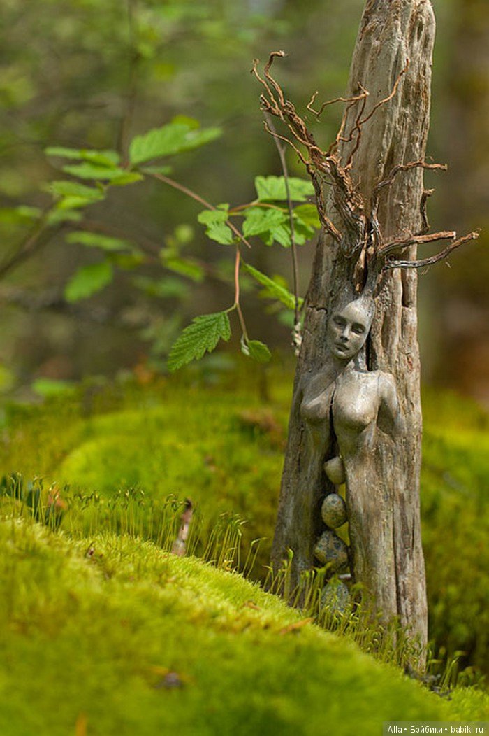 Debra Bernier. Души внутри деревьев