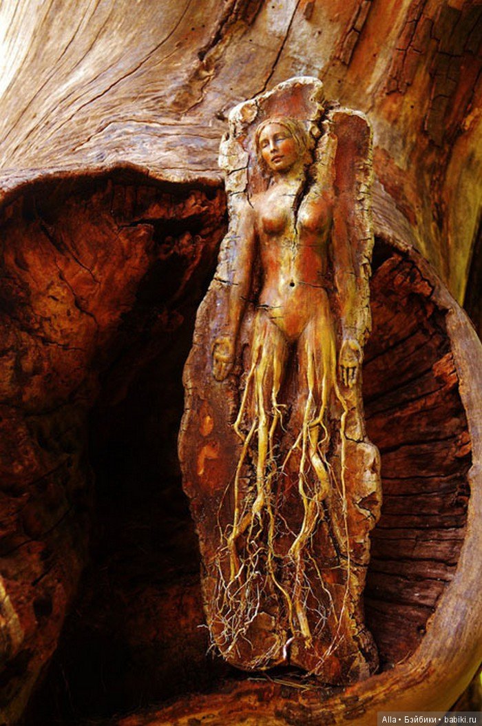 Debra Bernier. Души внутри деревьев (фото 9)