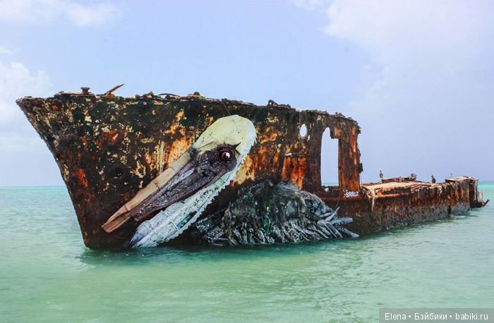 Скульптуры животных из разного хлама от Artur Bordalo