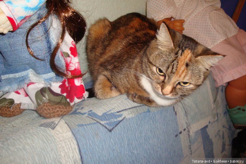 Не ждали — Домашние фото авторских кукол: личные коллекции (фото 4)