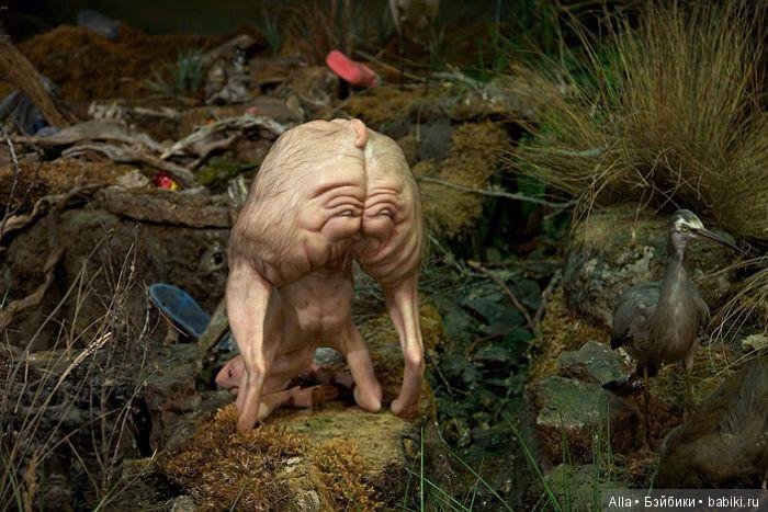 Инопланетянине от австралийской художницы Патриция Пиччинини