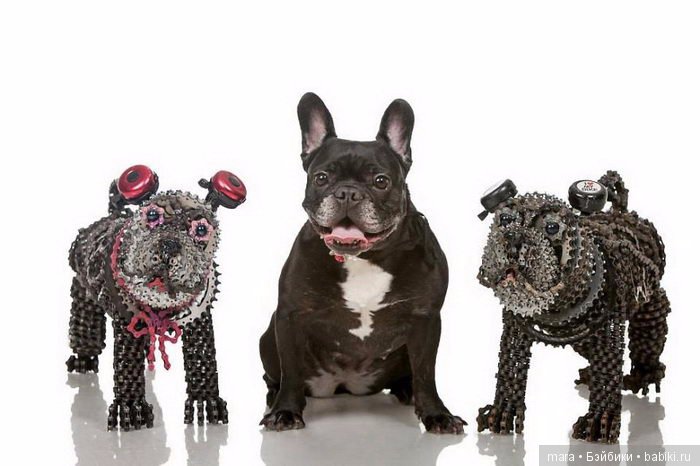 Собаки из велосипедных цепей от Nirit Levav (фото 10)