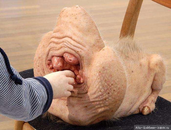 Инопланетянине от австралийской художницы Патриция Пиччинини