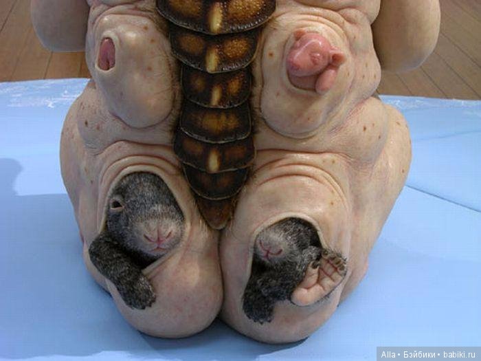 Инопланетянине от австралийской художницы Патриция Пиччинини