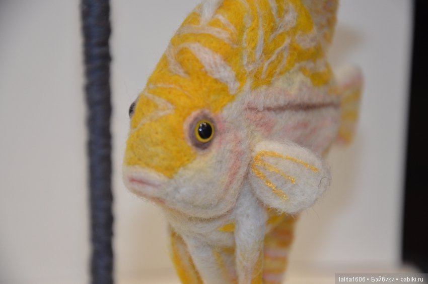 Дискус бело-желтый. Сухое валяние (фото 7)