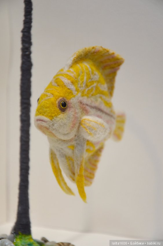 Дискус бело-желтый. Сухое валяние