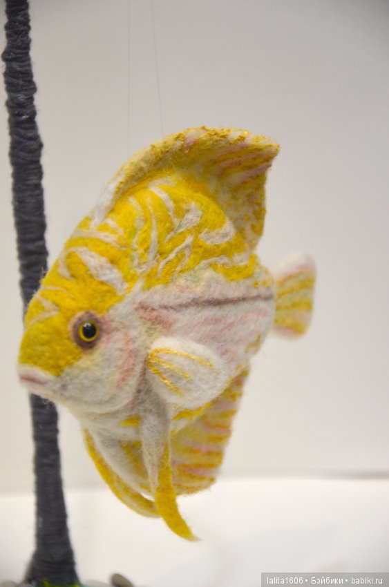 Дискус бело-желтый. Сухое валяние (фото 6)