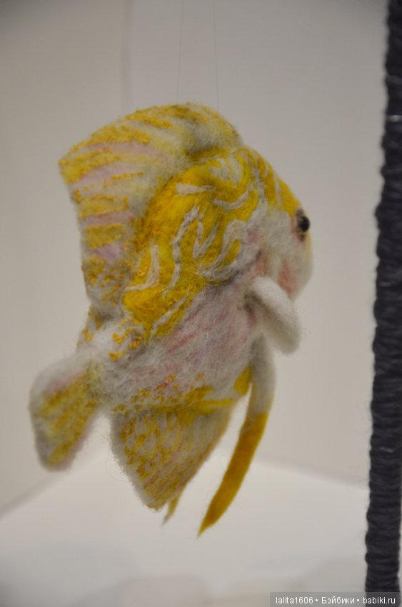 Дискус бело-желтый. Сухое валяние (фото 3)