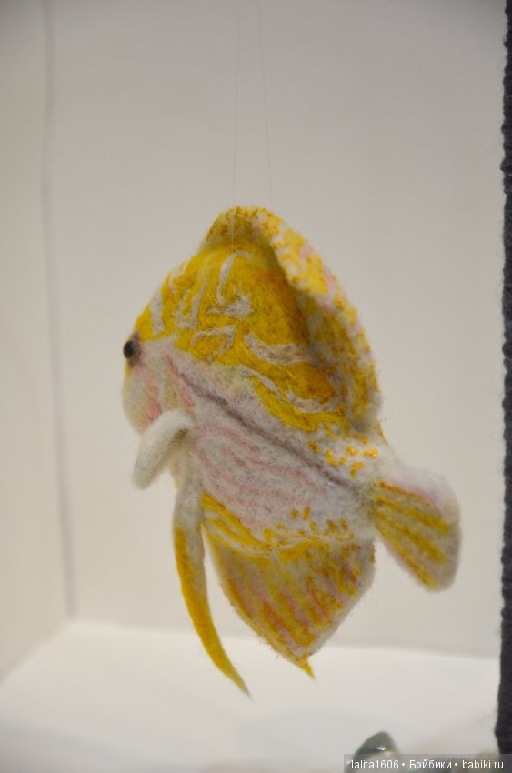 Дискус бело-желтый. Сухое валяние (фото 4)