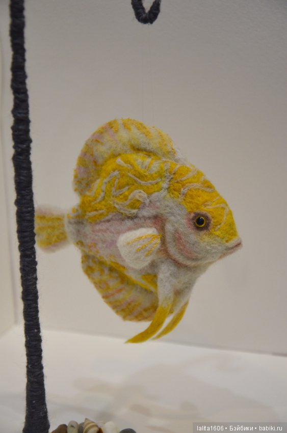 Дискус бело-желтый. Сухое валяние