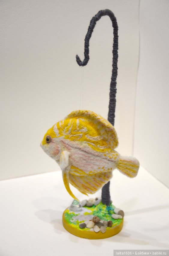 Дискус бело-желтый. Сухое валяние (фото 5)