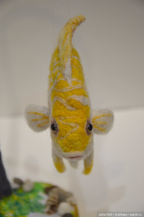 Дискус бело-желтый. Сухое валяние