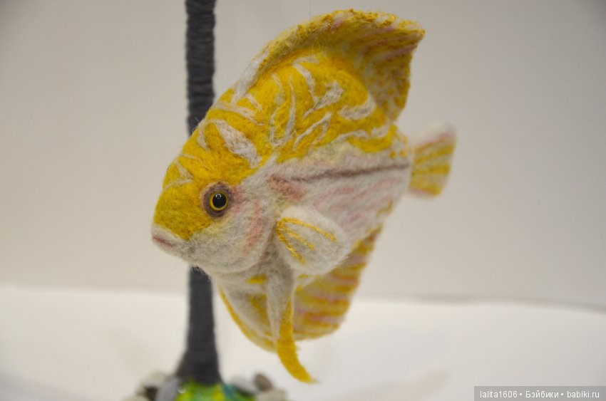 Дискус бело-желтый. Сухое валяние