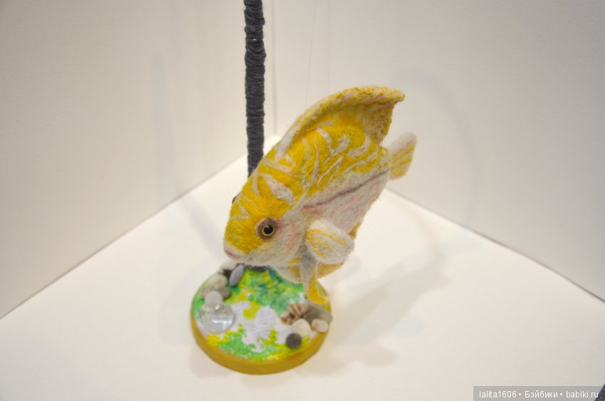 Дискус бело-желтый. Сухое валяние (фото 10)