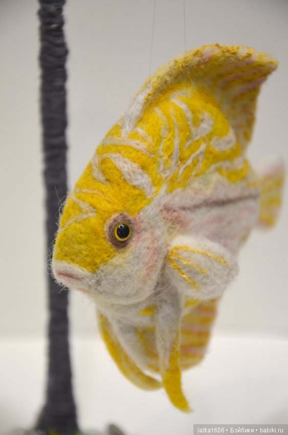 Дискус бело-желтый. Сухое валяние (фото 8)