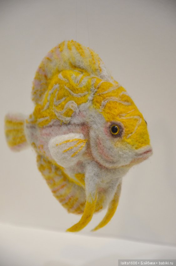 Дискус бело-желтый. Сухое валяние (фото 2)