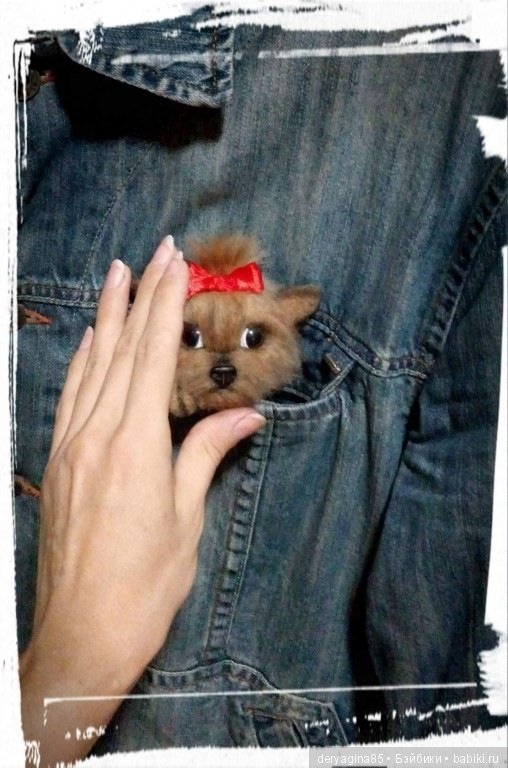 Йоркоброшь — Валяные игрушки из шерсти: сухое валяние