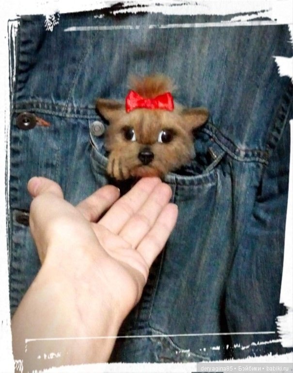 Йоркоброшь — Валяные игрушки из шерсти: сухое валяние (фото 2)