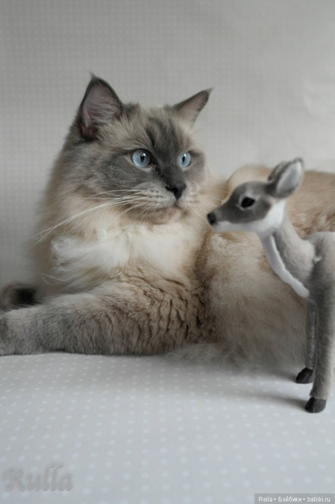 Маленькая фотосессия для малыша от Sasha Morgenthaler, Sasha baby doll