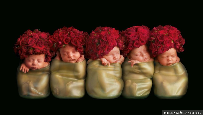 Моя коллекция фарфоровых статуэток от Anne Geddes (Анна Геддес) заставит улыбнутся любого (фото 4)