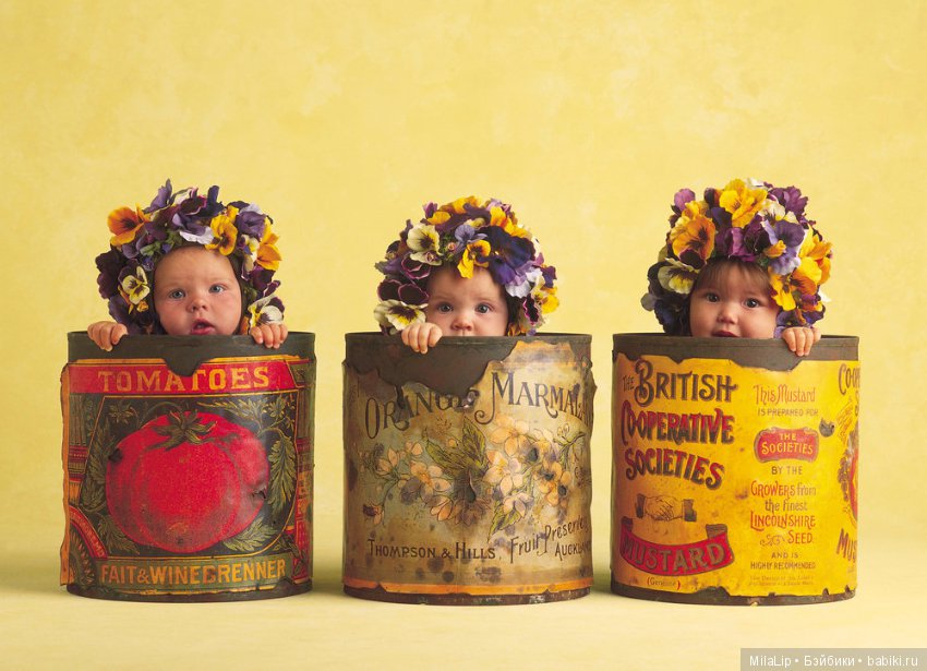 Моя коллекция фарфоровых статуэток от Anne Geddes (Анна Геддес) заставит улыбнутся любого (фото 2)