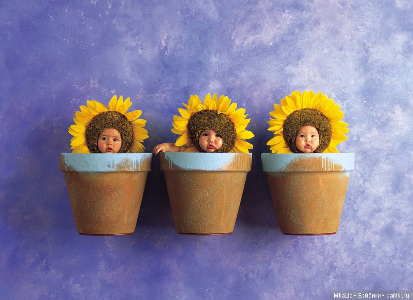 Моя коллекция фарфоровых статуэток от Anne Geddes (Анна Геддес) заставит улыбнутся любого