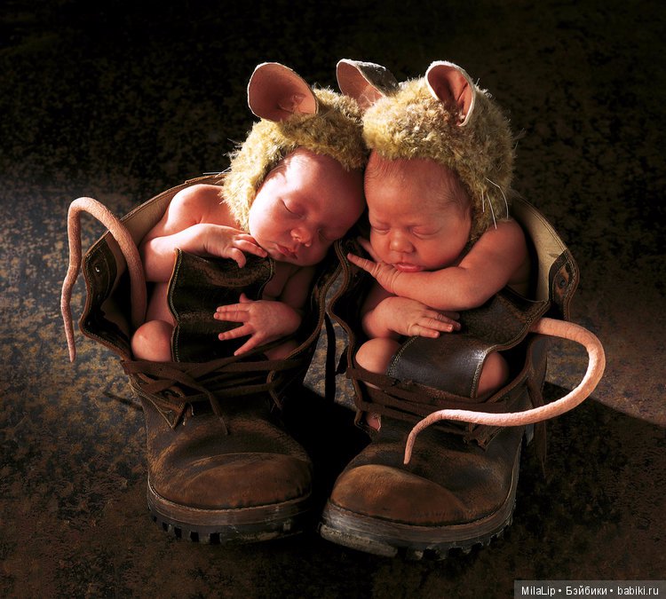 Моя коллекция фарфоровых статуэток от Anne Geddes (Анна Геддес) заставит улыбнутся любого (фото 3)