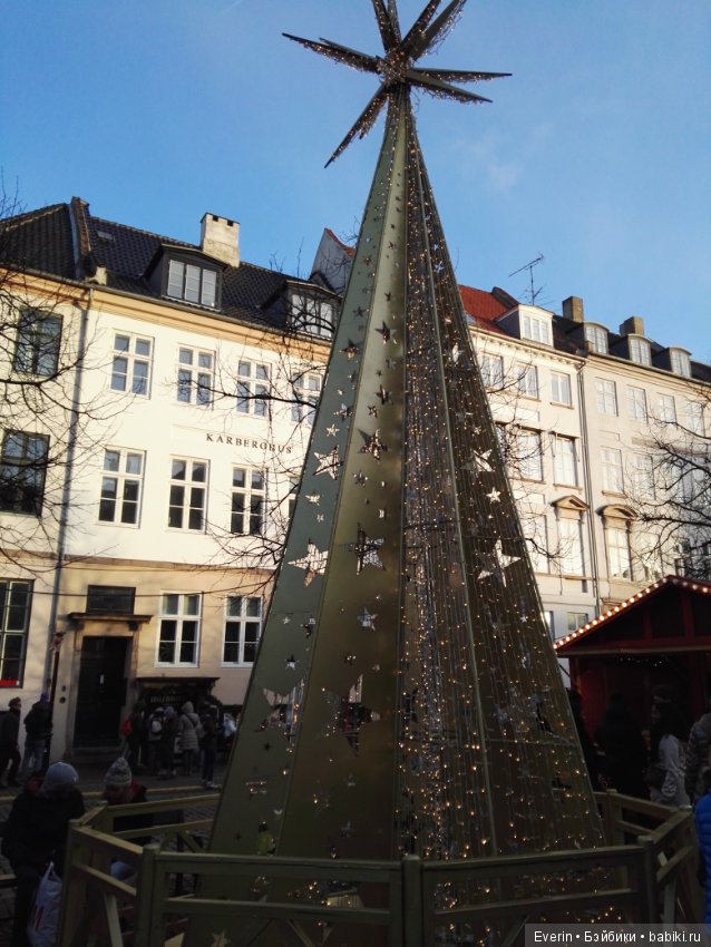 Предрождественская прогулка маленькой Ниссе (фото 3)