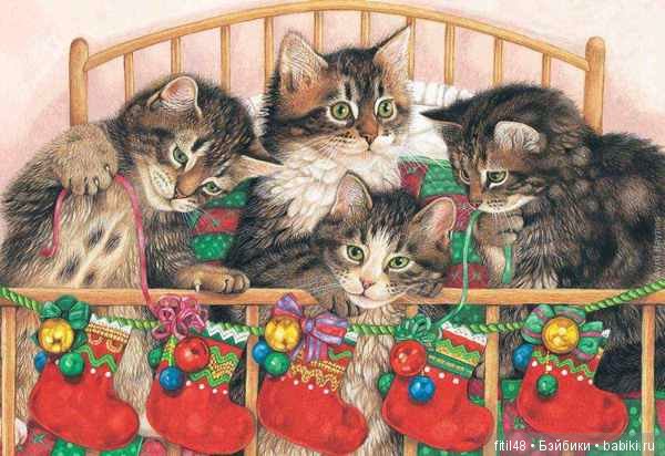 Кот и Новый год — В мире животных: смешные фото питомцев и зверей