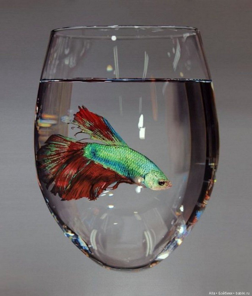 Young-sung Kim. За работой