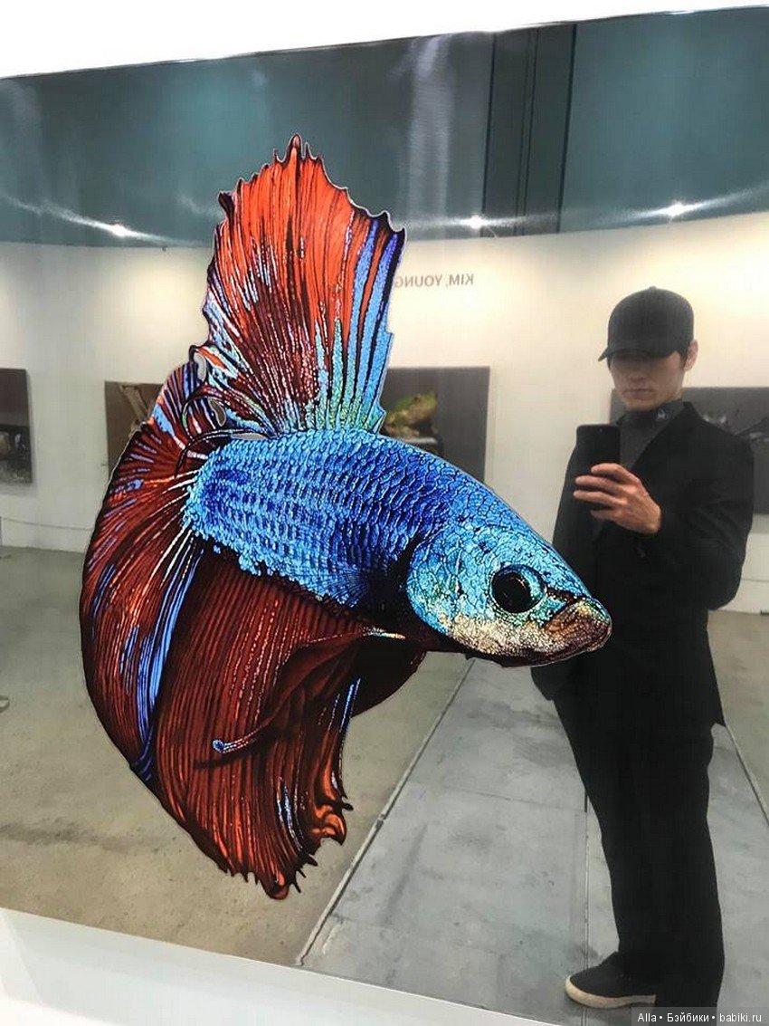 Young-sung Kim. За работой (фото 7)