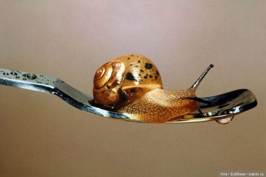 Young-sung Kim. За работой (фото 10)