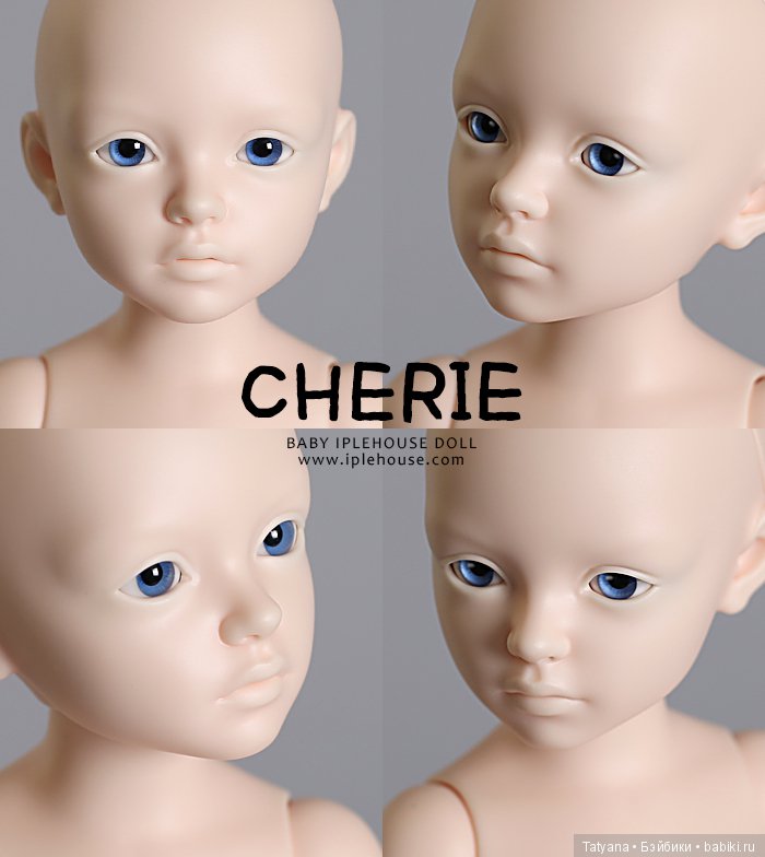 Iplehouse продают тиников Шэрри и Бо (фото 3)