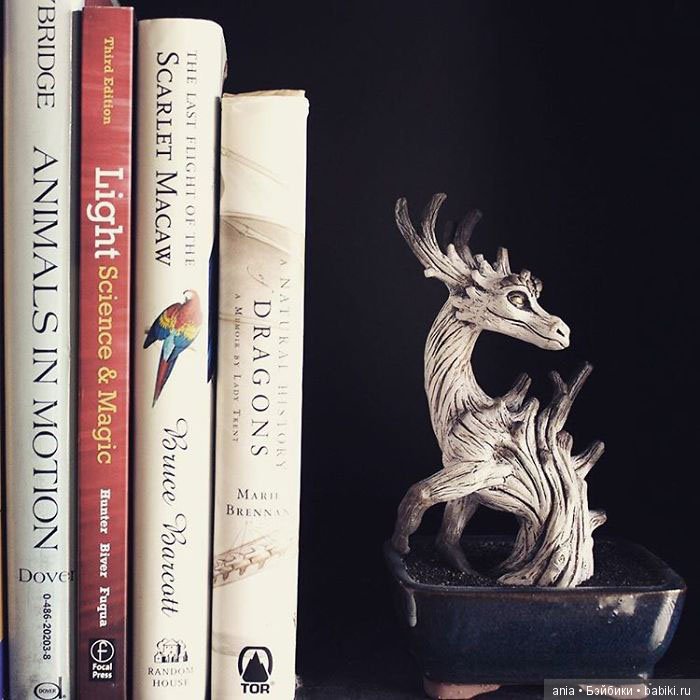 Стражники и защитники: волшебные драконы для палисадника