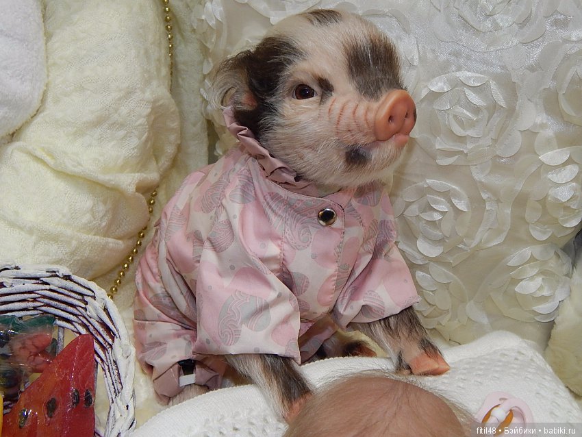 Искусство куклы. VIII Моcковская международная выставка. Реборны. Часть 1