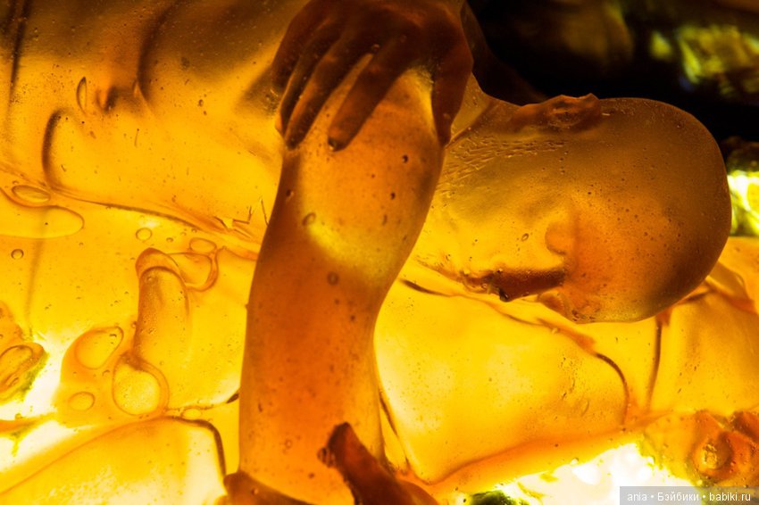 Сладкая жизнь и сладкая смерть