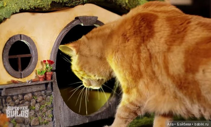 "Властелин Колец" для кошек (фото 3)