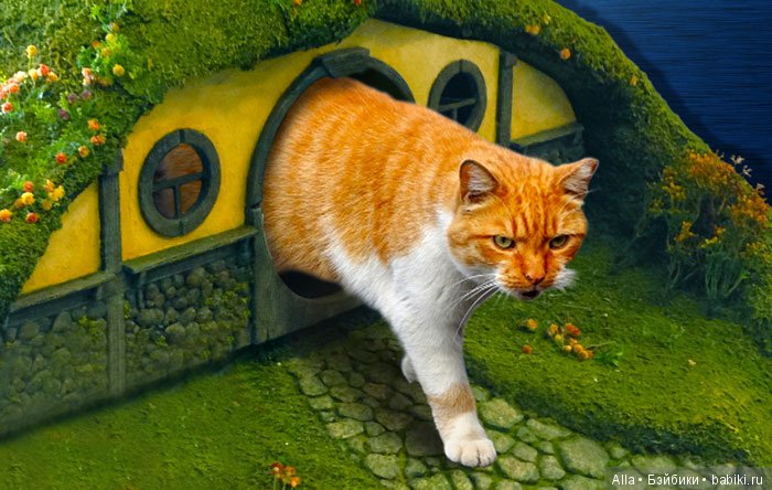 "Властелин Колец" для кошек (фото 9)