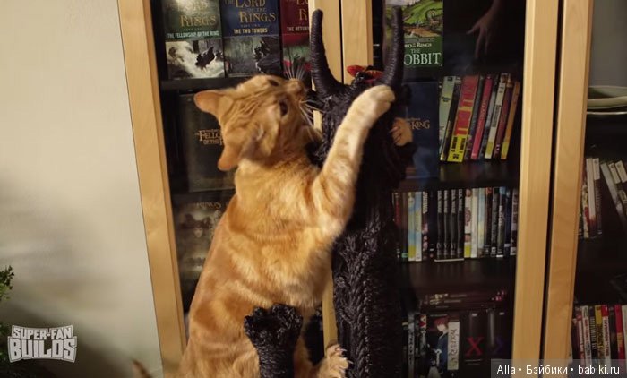 "Властелин Колец" для кошек (фото 4)