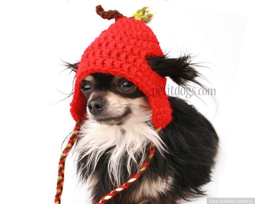 Веселые вязанные шапочки для собак вяжет рукодельница из Канады Erin (фото 2)