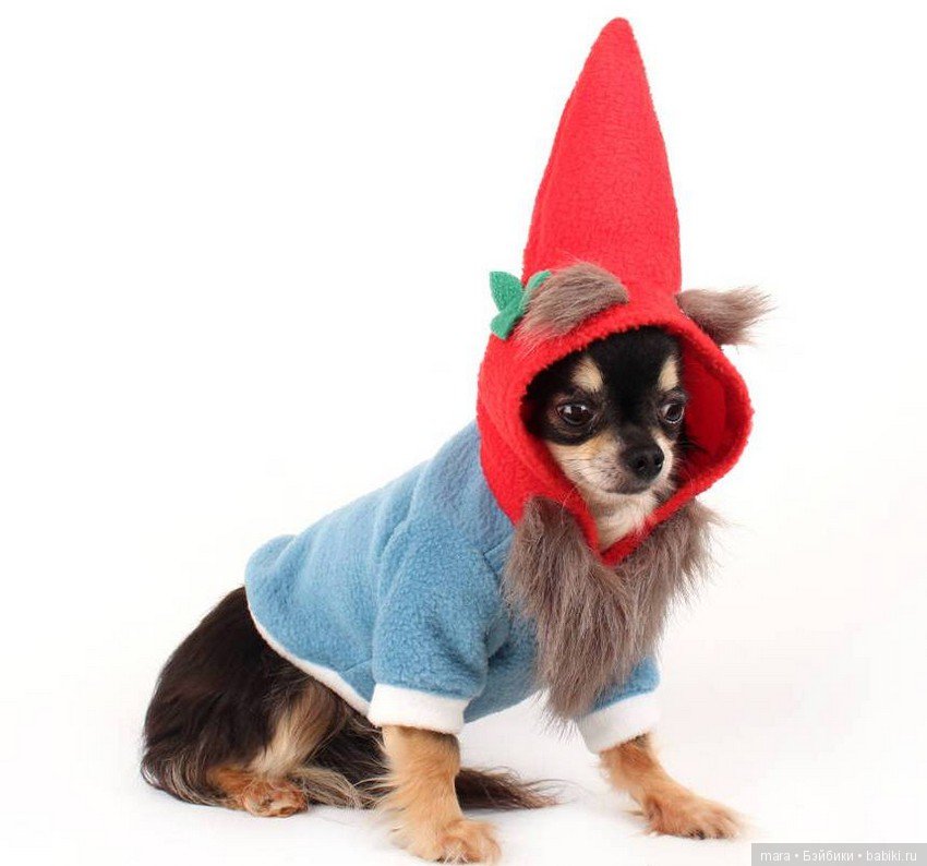 Веселые вязанные шапочки для собак вяжет рукодельница из Канады Erin (фото 5)