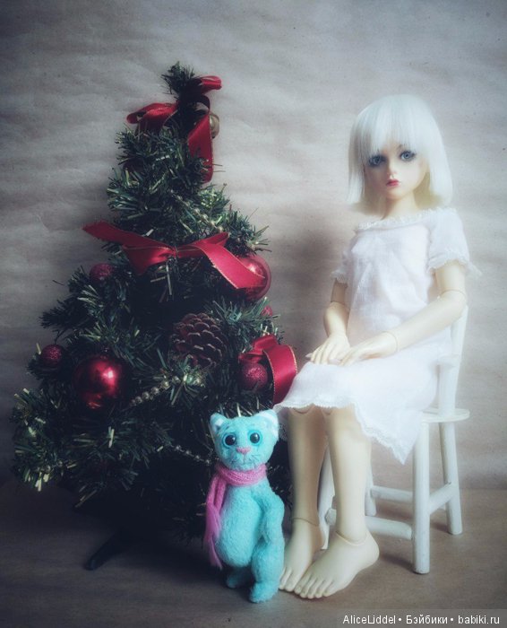 Последний котик в этом году (фото 5)