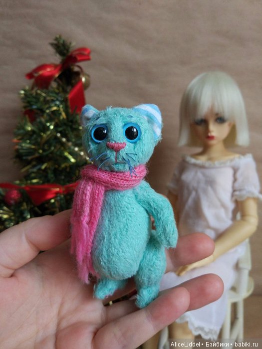 Последний котик в этом году